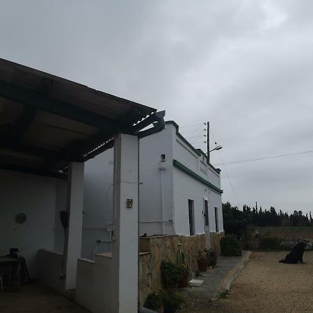 Casa Rural Masia D'En Gall L'Aldea Exterior foto